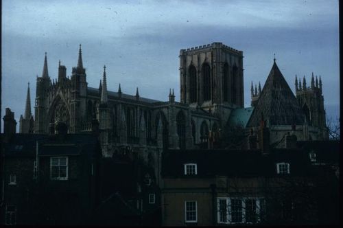 Preview of the Christopher Norton Images collection